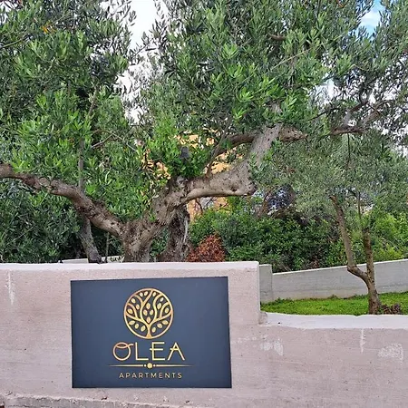Appartement Olea *