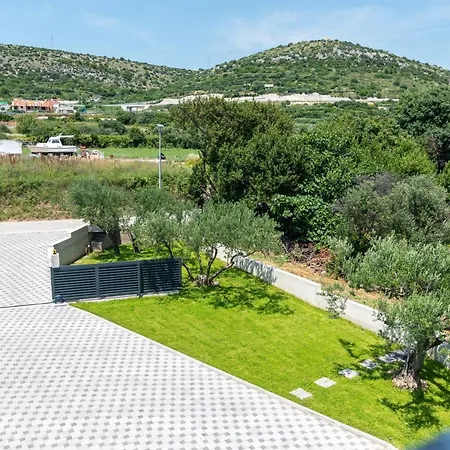 Olea