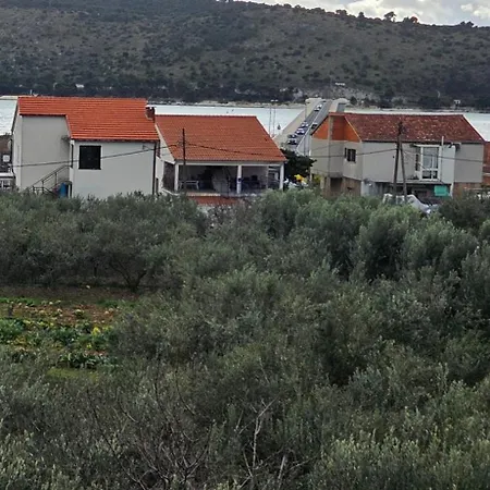 Olea